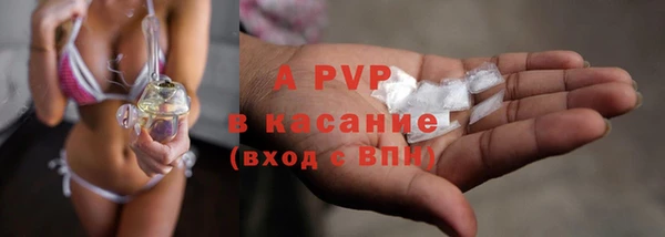 2c-b Корсаков