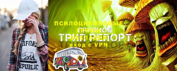 хмурый Сосновка