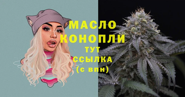 хмурый Сосновка