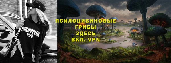 хмурый Сосновка