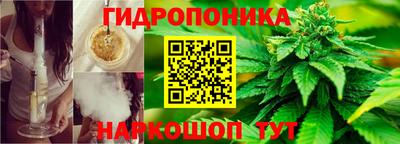 ГАЛЛЮЦИНОГЕННЫЕ ГРИБЫ Кимры