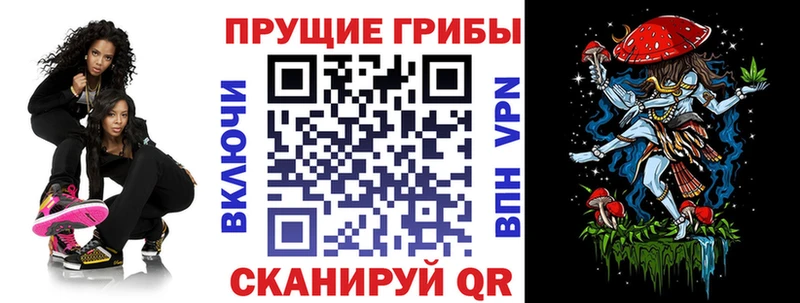 купить   Строитель  Галлюциногенные грибы MAGIC MUSHROOMS 
