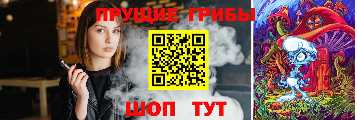 Галлюциногенные грибы Cubensis Строитель